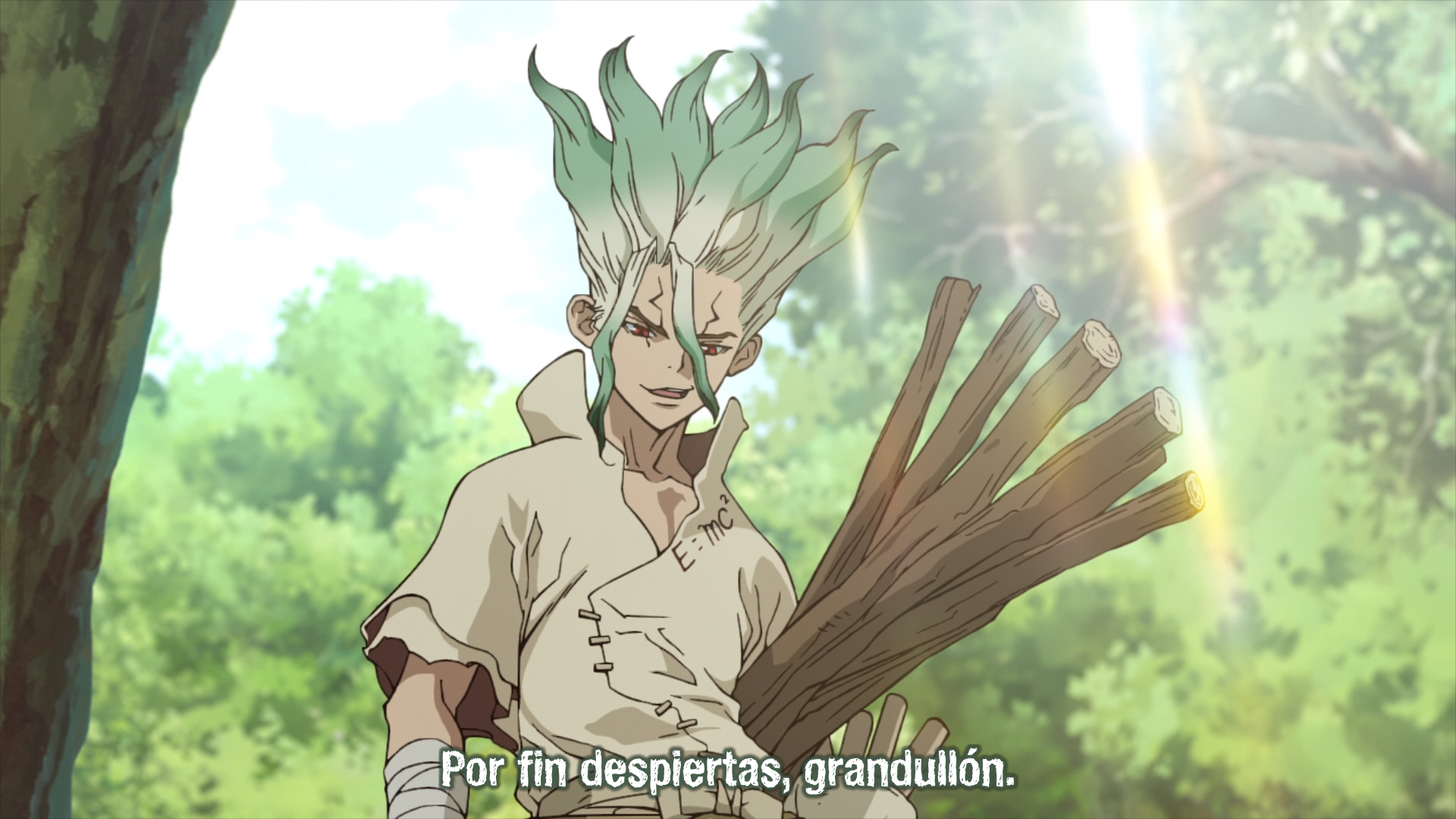 Dr. Stone [BD] (RedLineSP)
